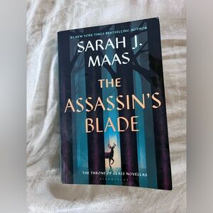 The Assassin’s Blade by Sarah J. Maas